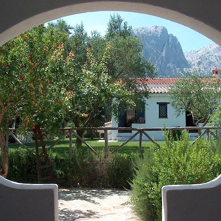 Agriturismo Guthiddai 奥列纳 外观 照片
