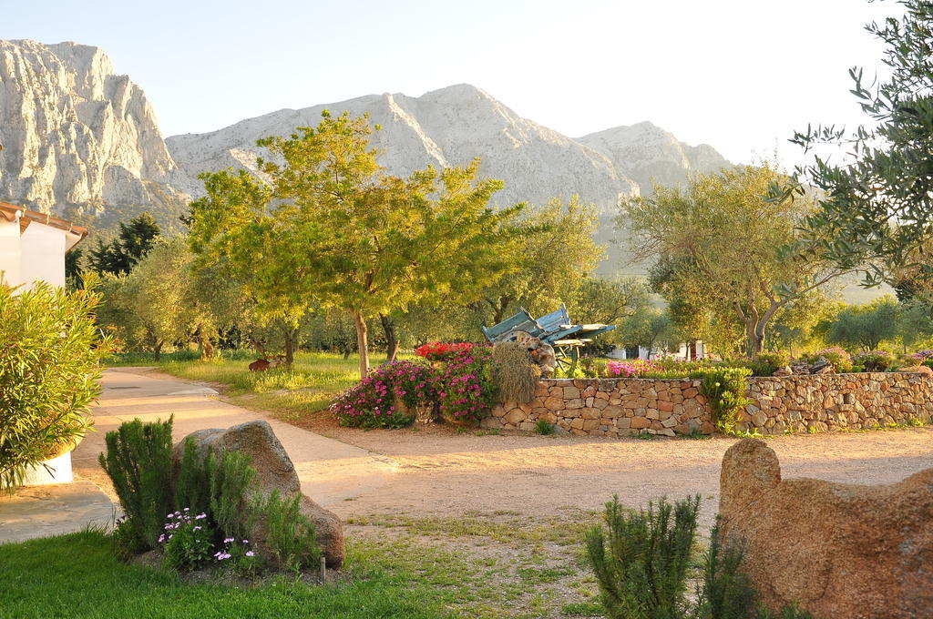 Agriturismo Guthiddai 奥列纳 外观 照片
