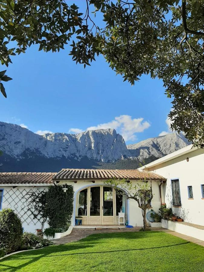 Agriturismo Guthiddai 奥列纳 外观 照片
