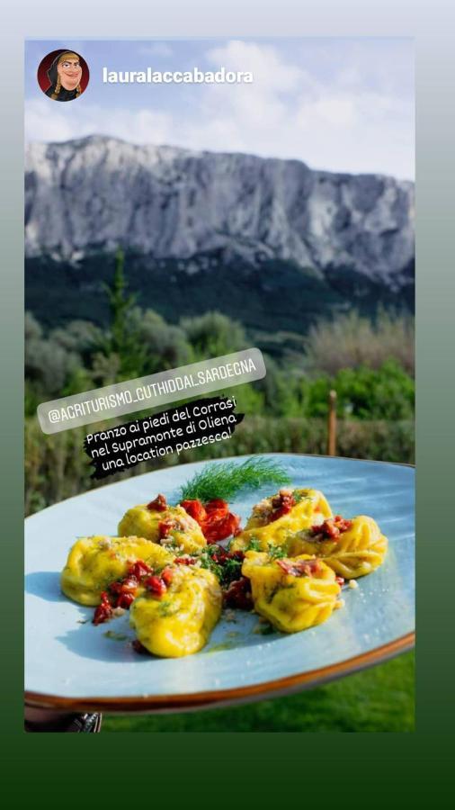 Agriturismo Guthiddai 奥列纳 外观 照片