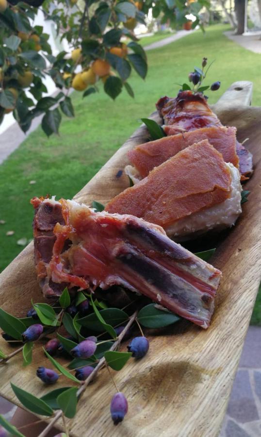 Agriturismo Guthiddai 奥列纳 外观 照片