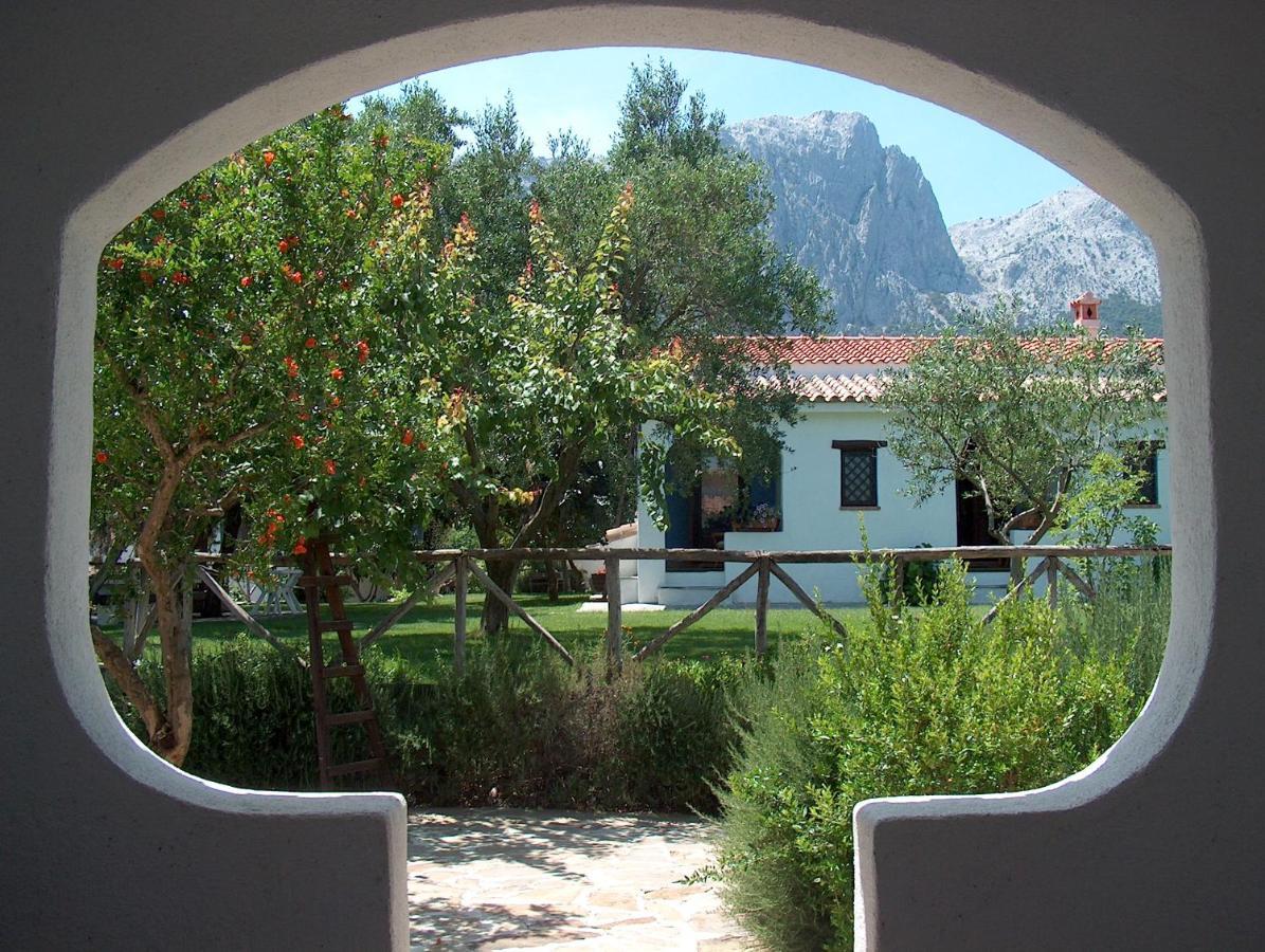 Agriturismo Guthiddai 奥列纳 外观 照片