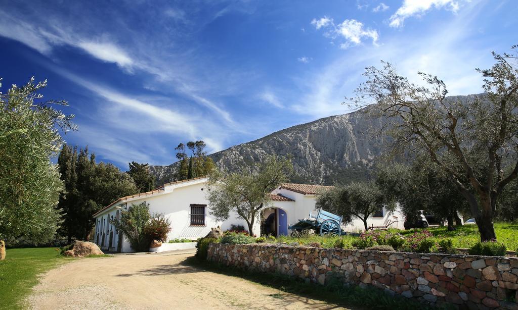 Agriturismo Guthiddai 奥列纳 外观 照片
