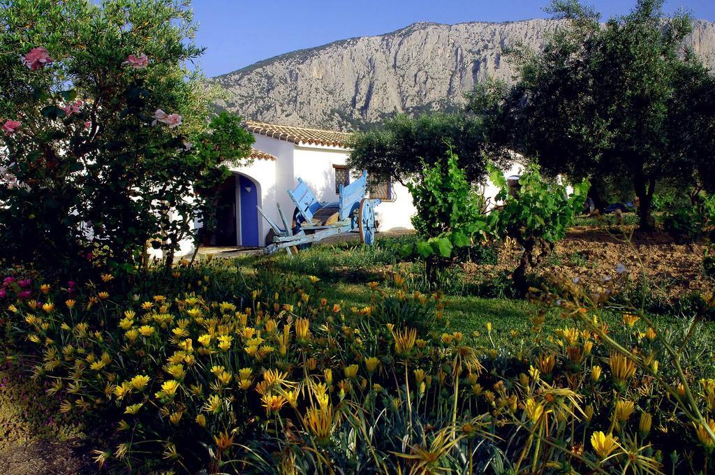 Agriturismo Guthiddai 奥列纳 外观 照片