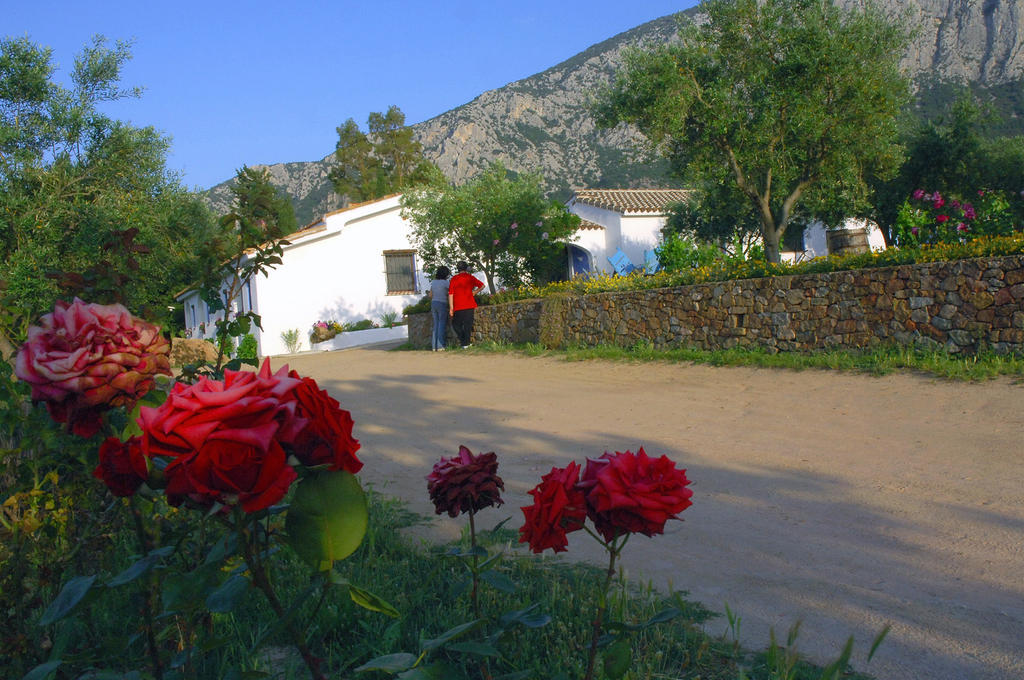 Agriturismo Guthiddai 奥列纳 外观 照片