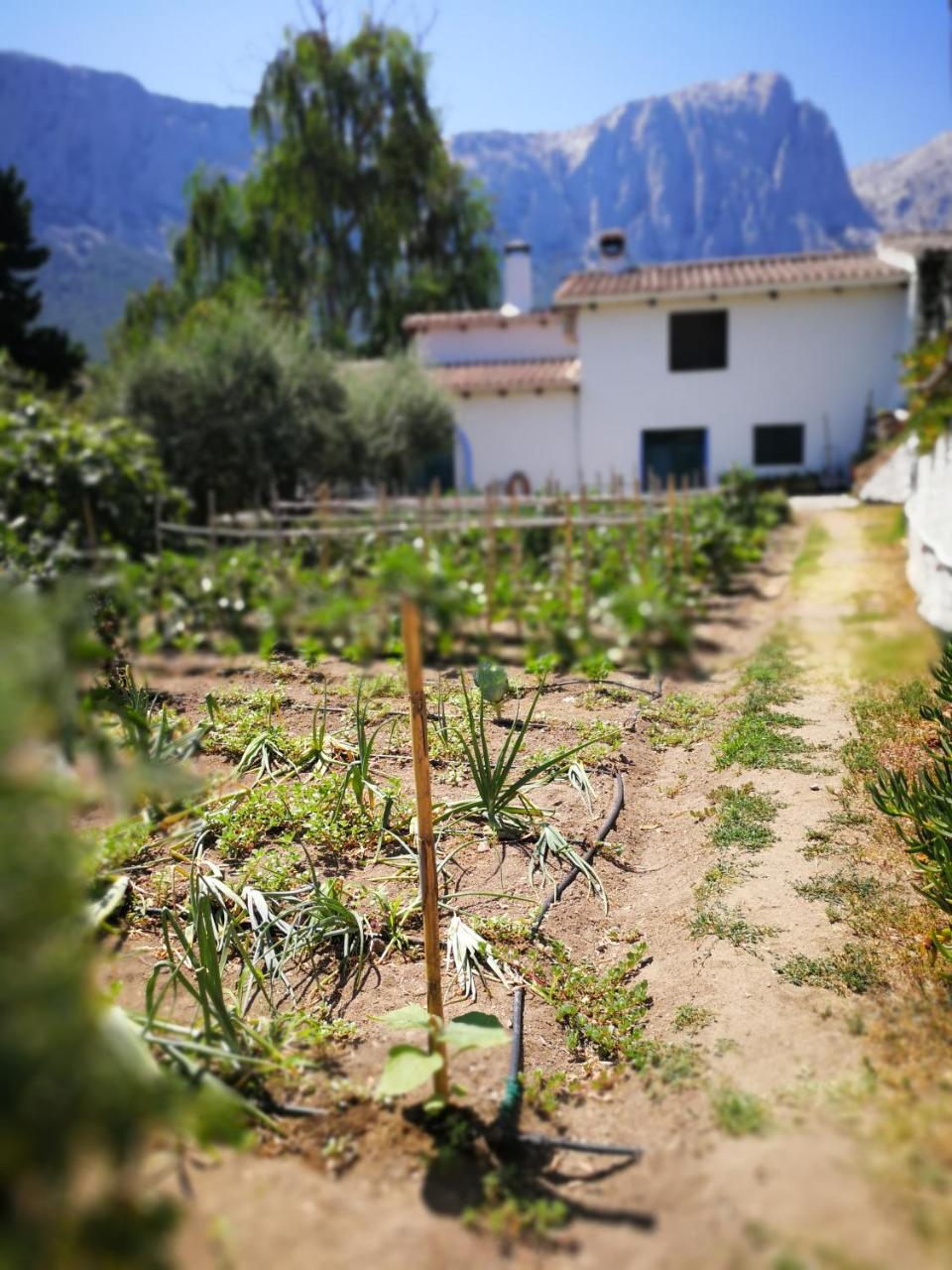 Agriturismo Guthiddai 奥列纳 外观 照片
