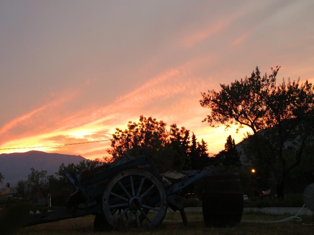 Agriturismo Guthiddai 奥列纳 外观 照片
