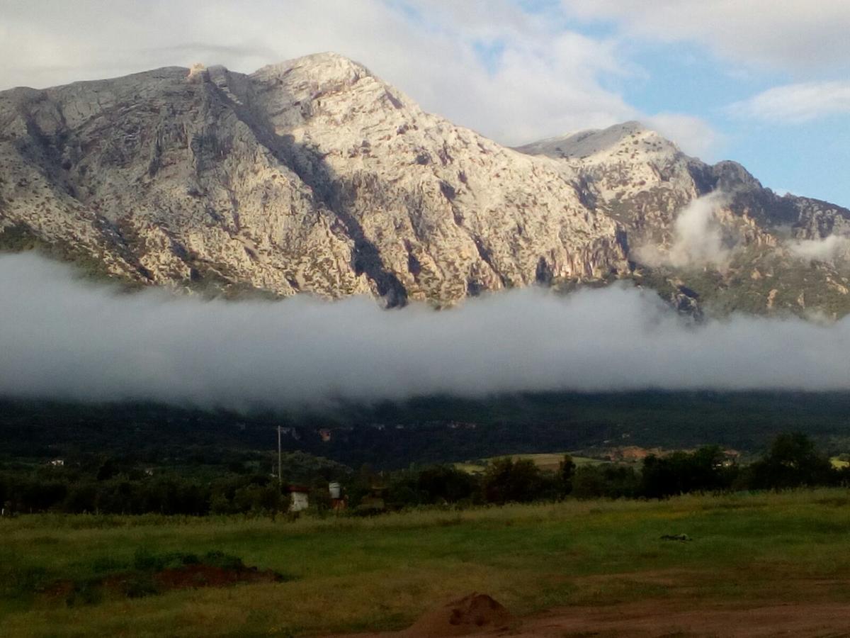 Agriturismo Guthiddai 奥列纳 外观 照片
