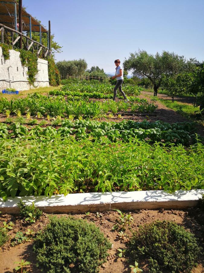 Agriturismo Guthiddai 奥列纳 外观 照片