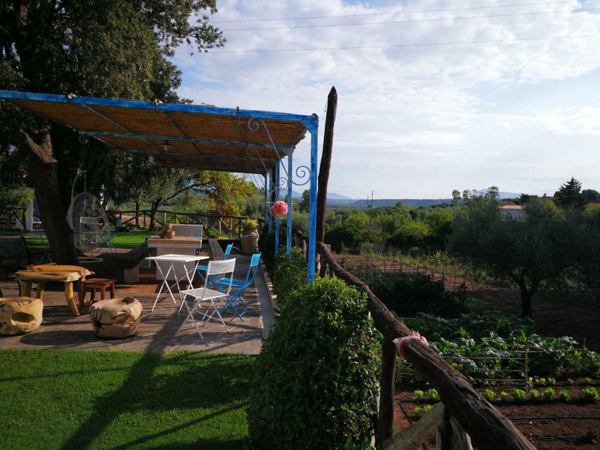 Agriturismo Guthiddai 奥列纳 外观 照片